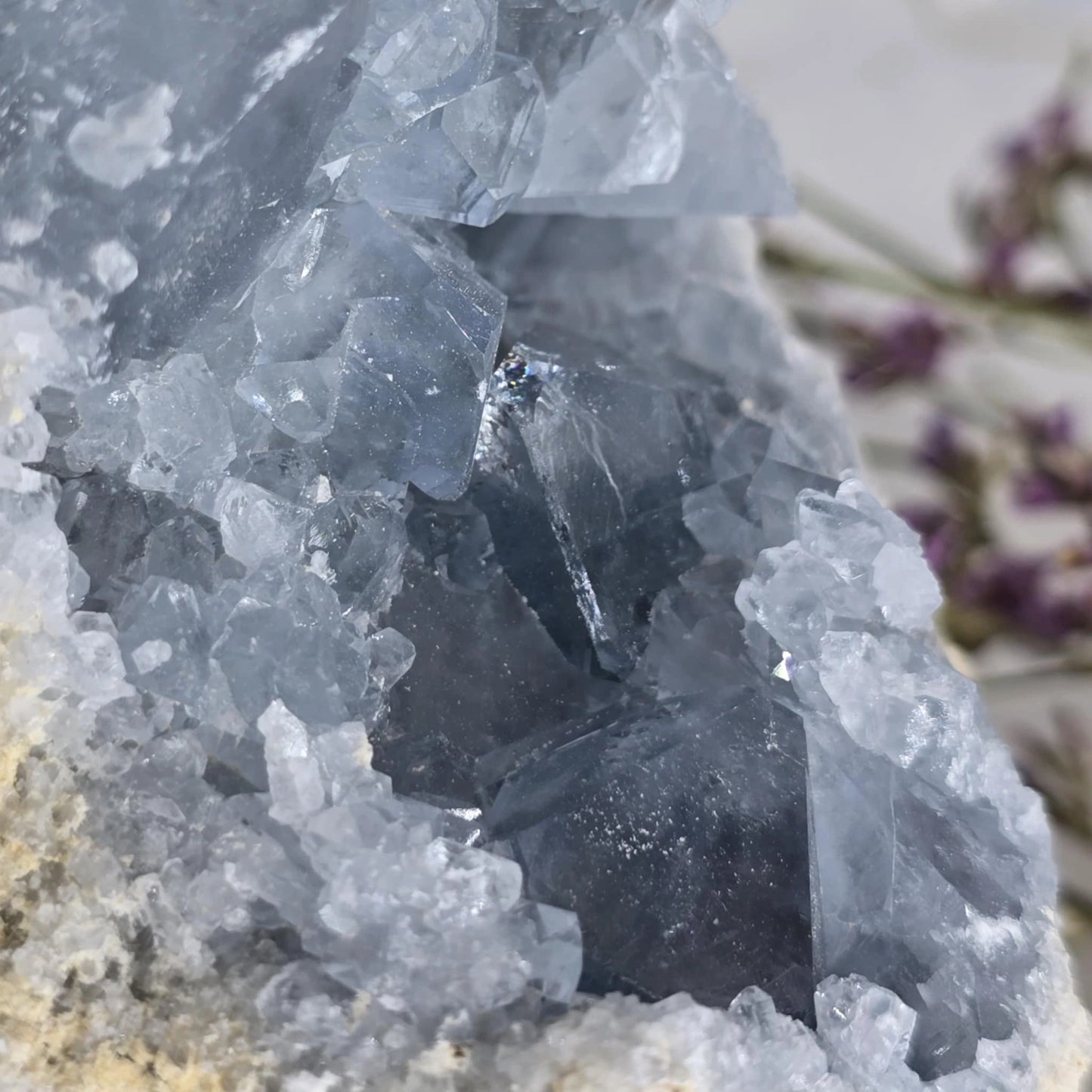 Celestin Mineral Trgovina S Kristali