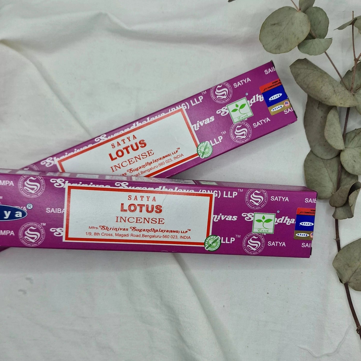 Lotus Satya - Kadilo