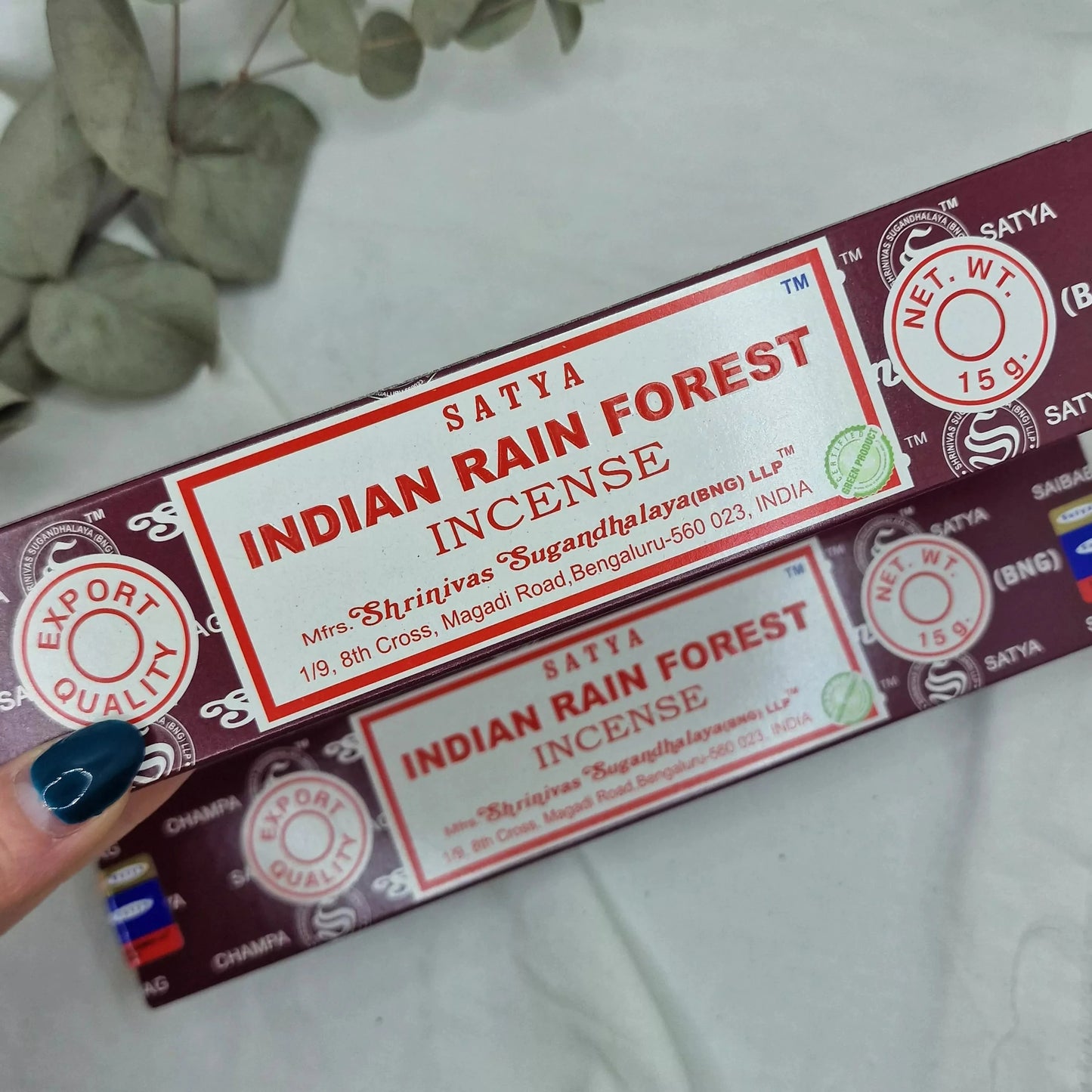 Indian Rain Forest Satya - Kadilo