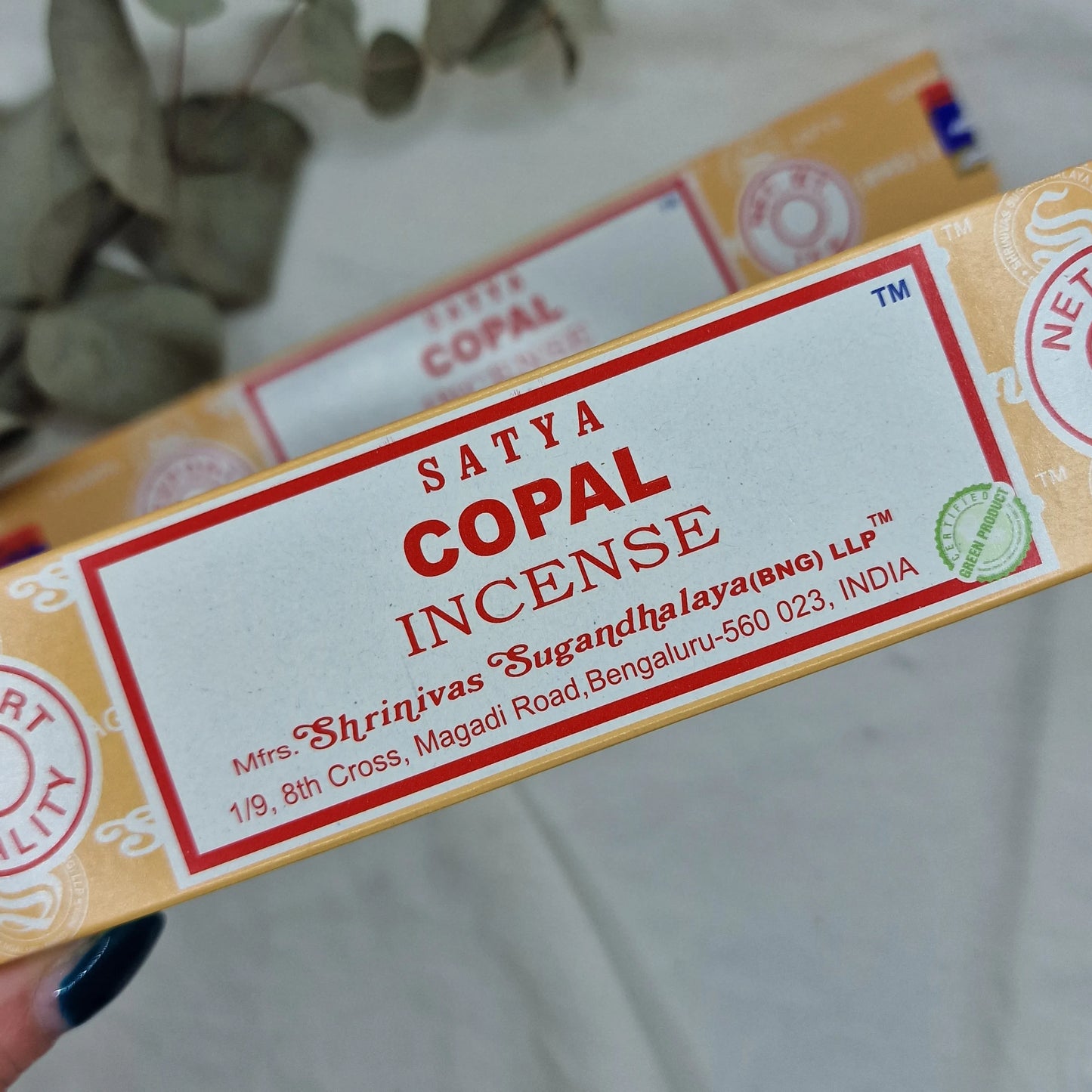 Copal Satya - Kadilo