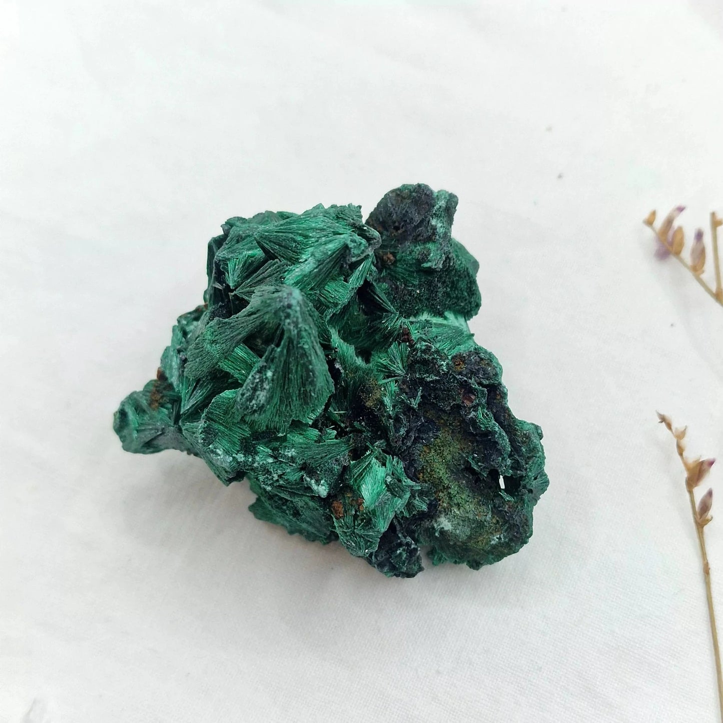 Malahit - Neobdelan Kristal MS67
