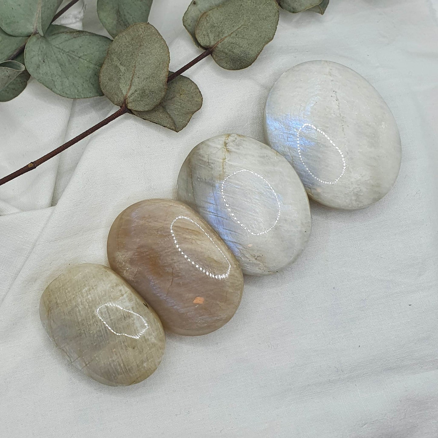 Mesečev Kamen - Palm Stone