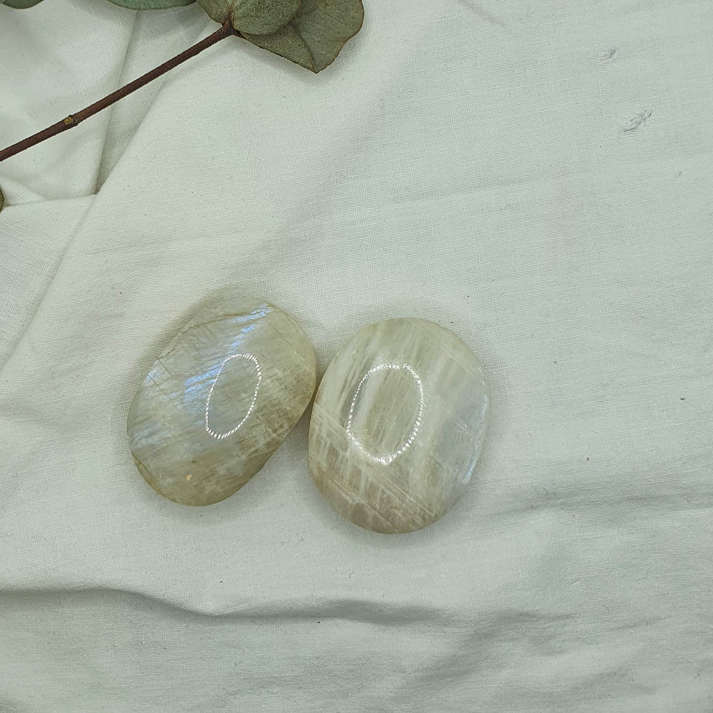 Mesečev Kamen - Palm Stone