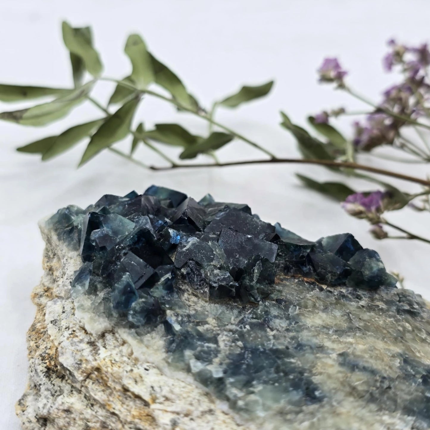Zeleno Modri Fluorit Trgovina S Kristali Adorable Stones