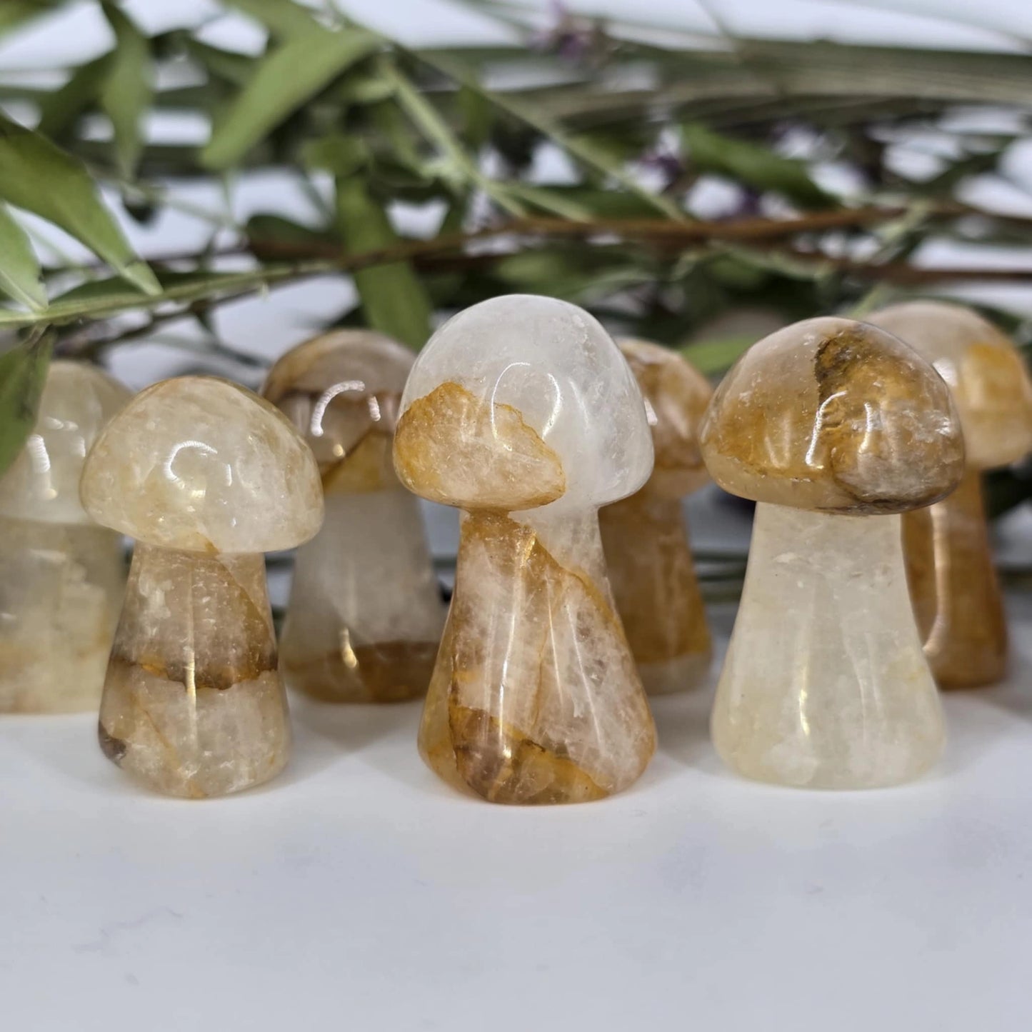 Zlati Zdravilec Nakup kristalov in mineralov