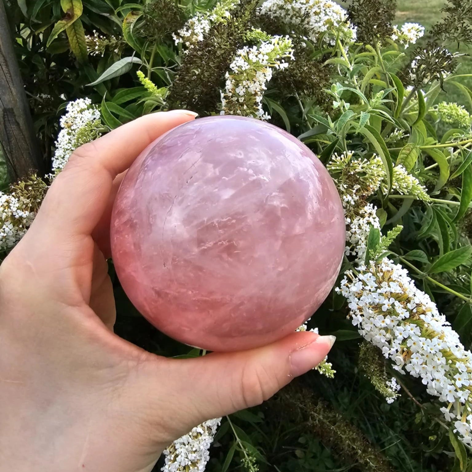 Roževec Krogla Kristal