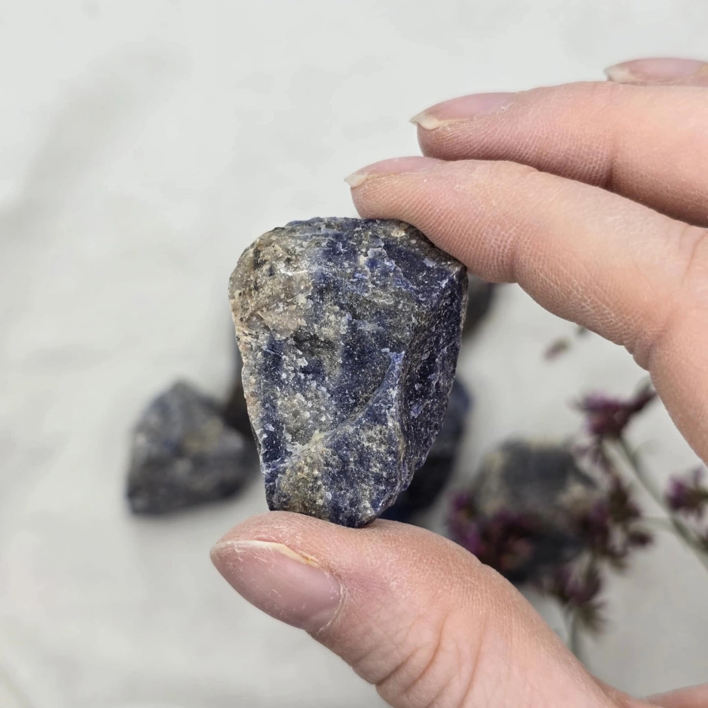 Sodalit Neobdelan Mineral