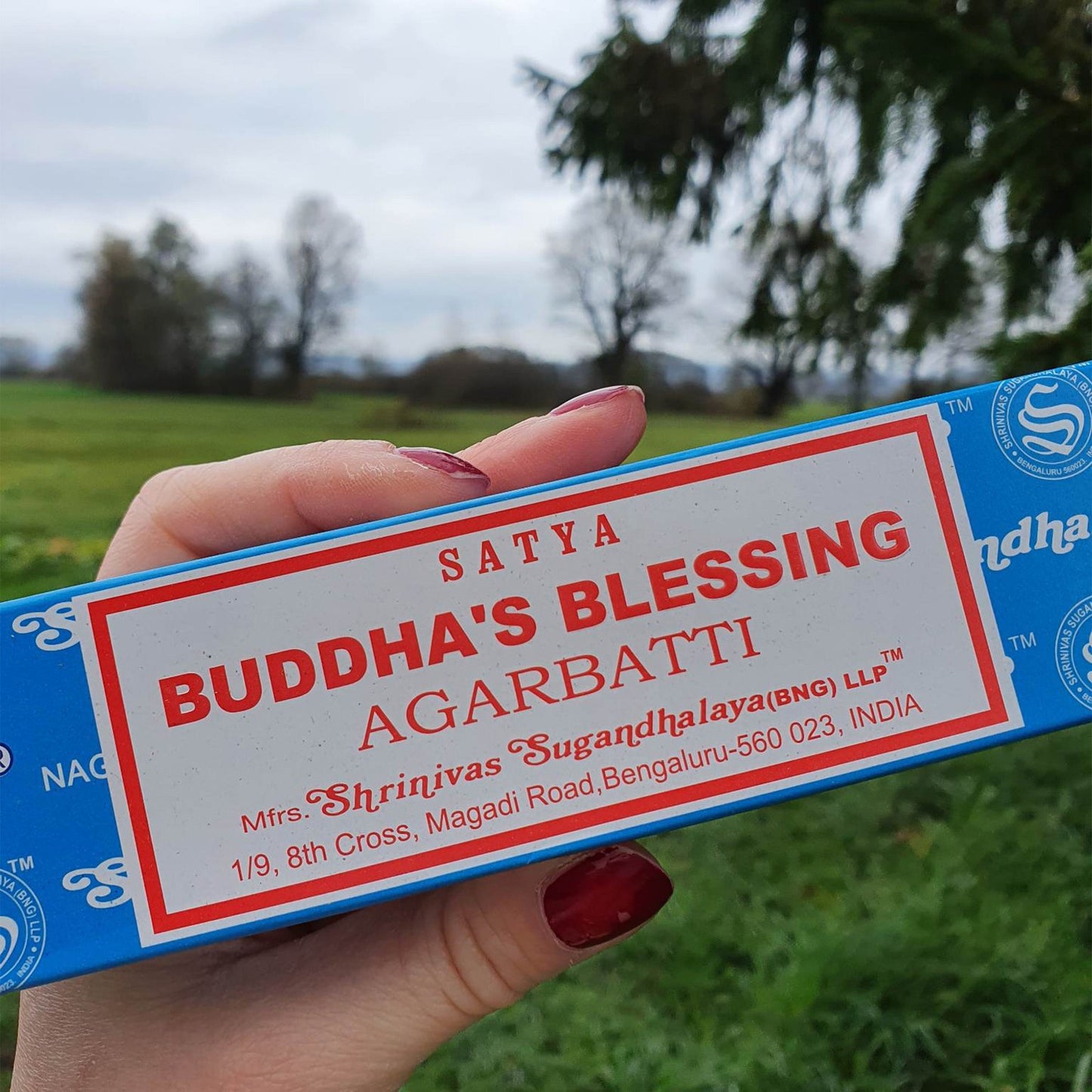 Buddha's Blessing Satya - Kadila