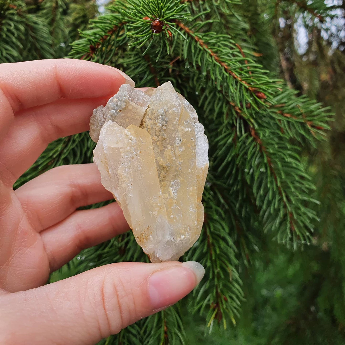 Limonitna Kamena Strela - Kristal QL2