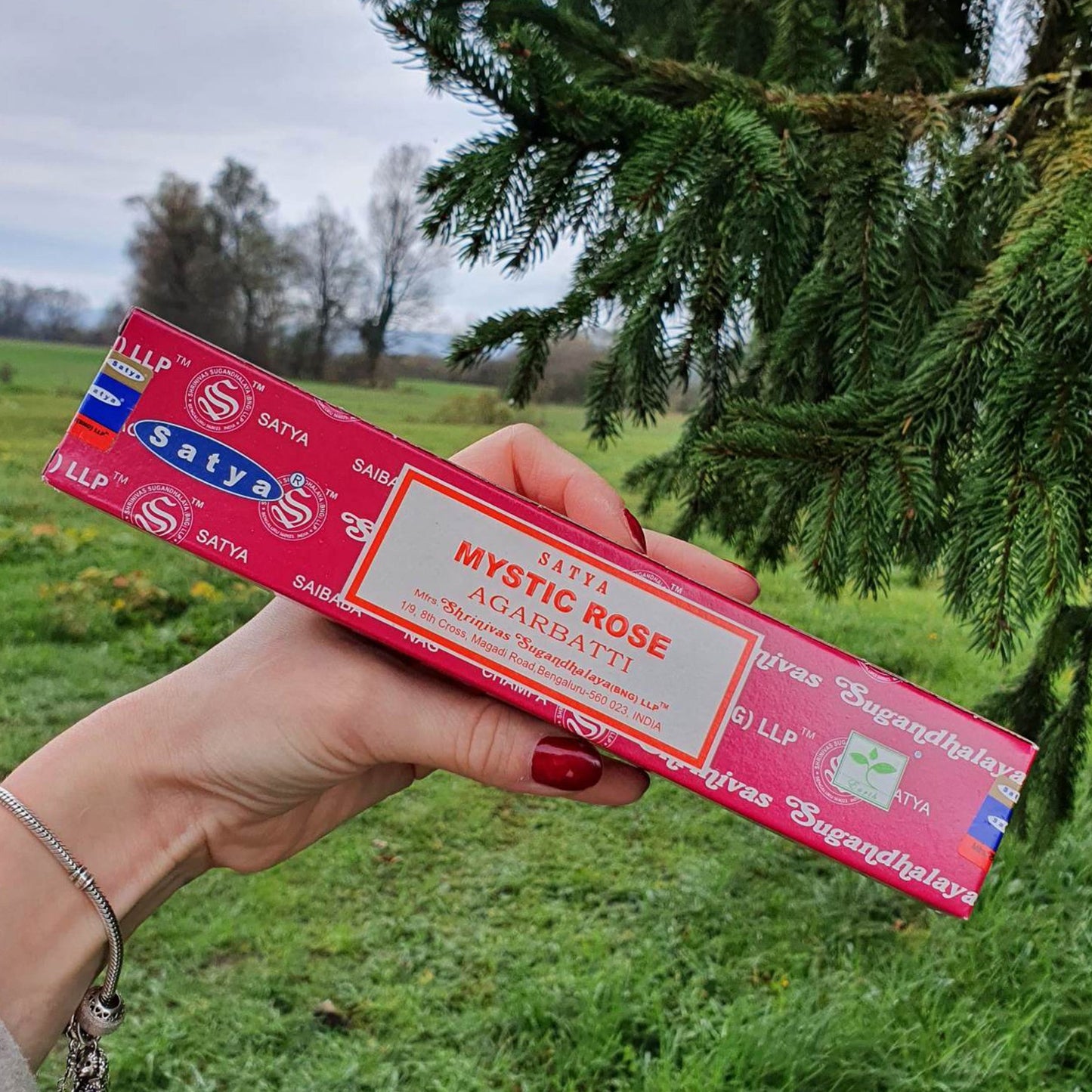 Mystic Rose Satya Kadilo