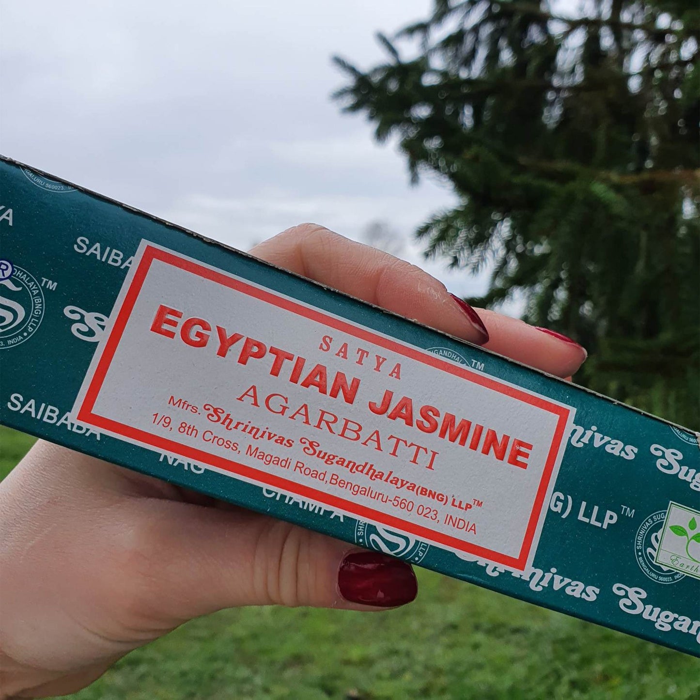 Egyptian Jasmine Satya - Kadilo