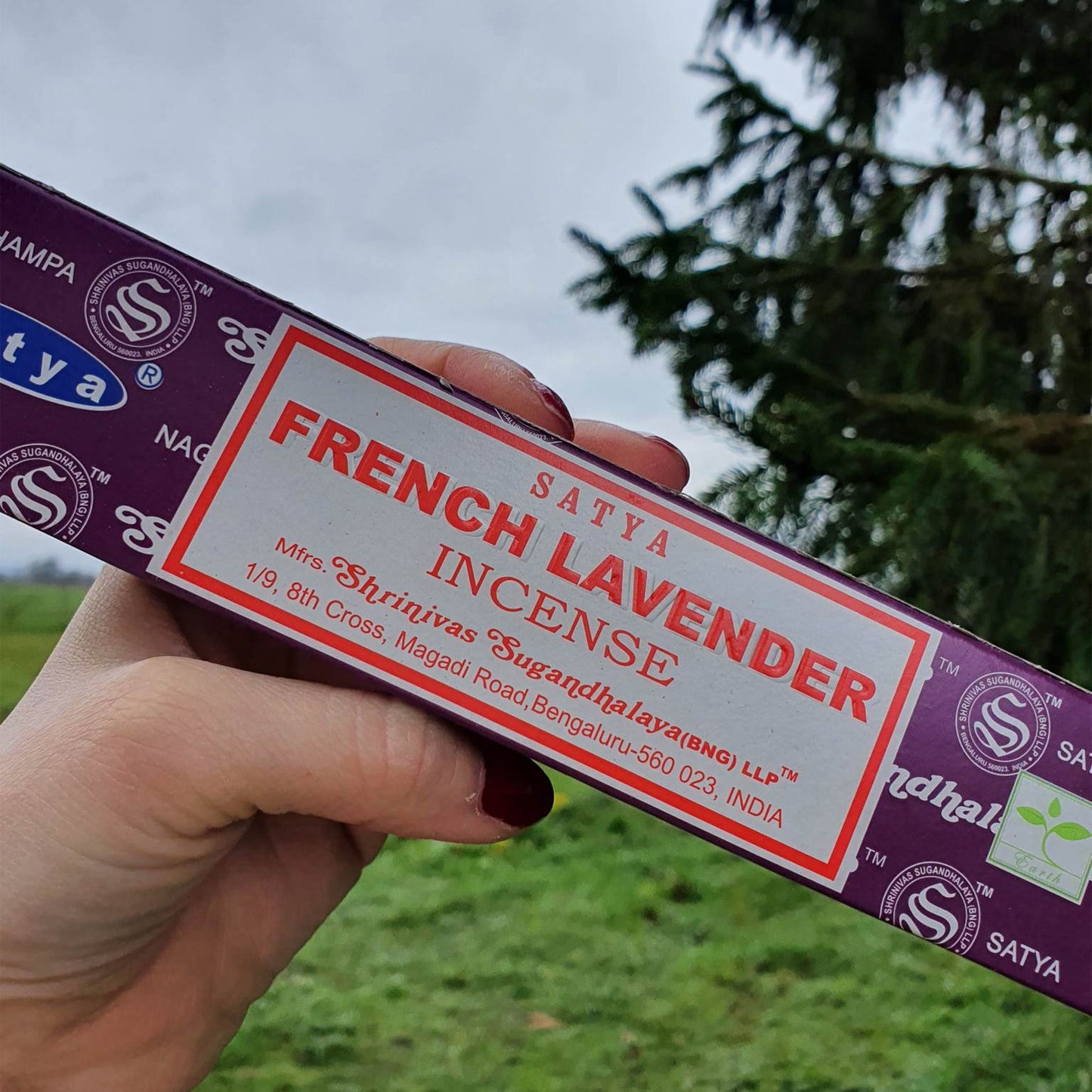 French Lavender Satya - Kadilo