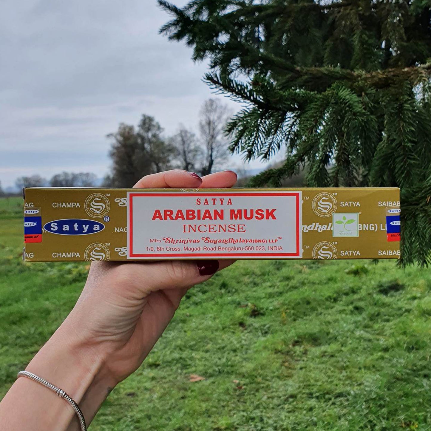 Arabian Musk Satya - Kadilo