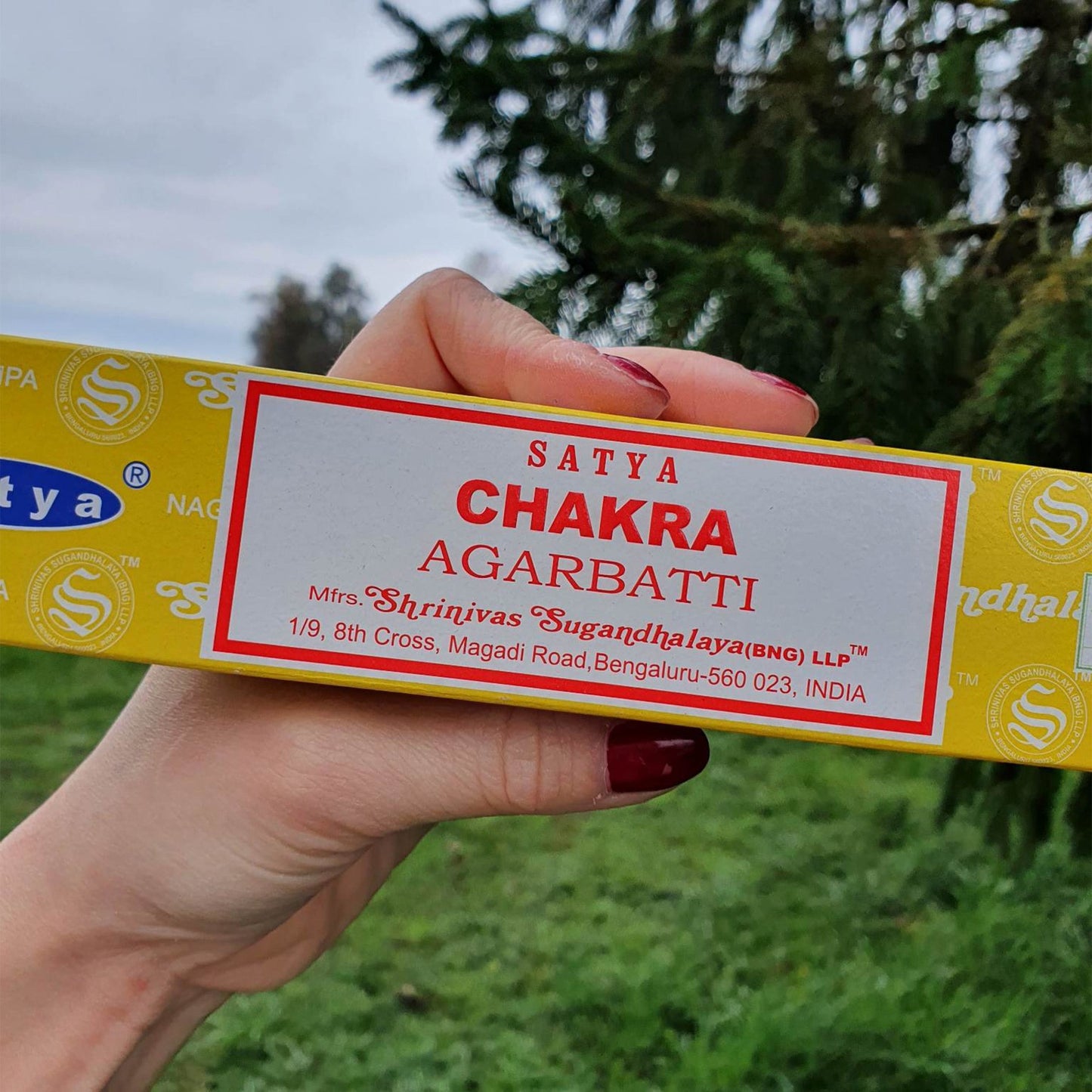 Chakra Satya - Kadilo