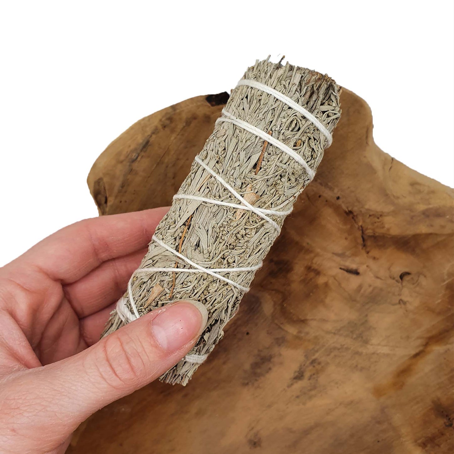 Modri Žajbelj 10cm - Kadilo