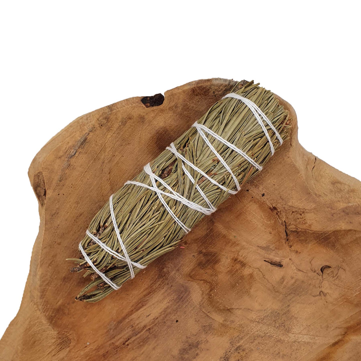 Rožmarin 10cm - Kadilo