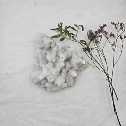 Kalcedon Kremen - Rastišče Veliko