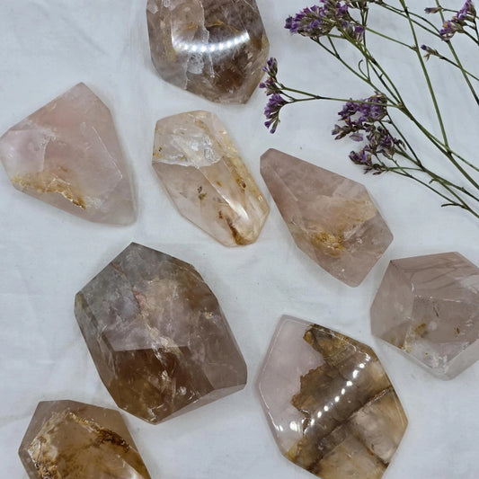 Roževec Z Zlatim Zdravilcem - Freeform