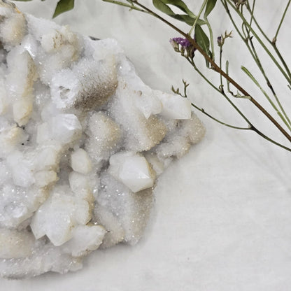 Kalcedon Kremen - Rastišče Veliko