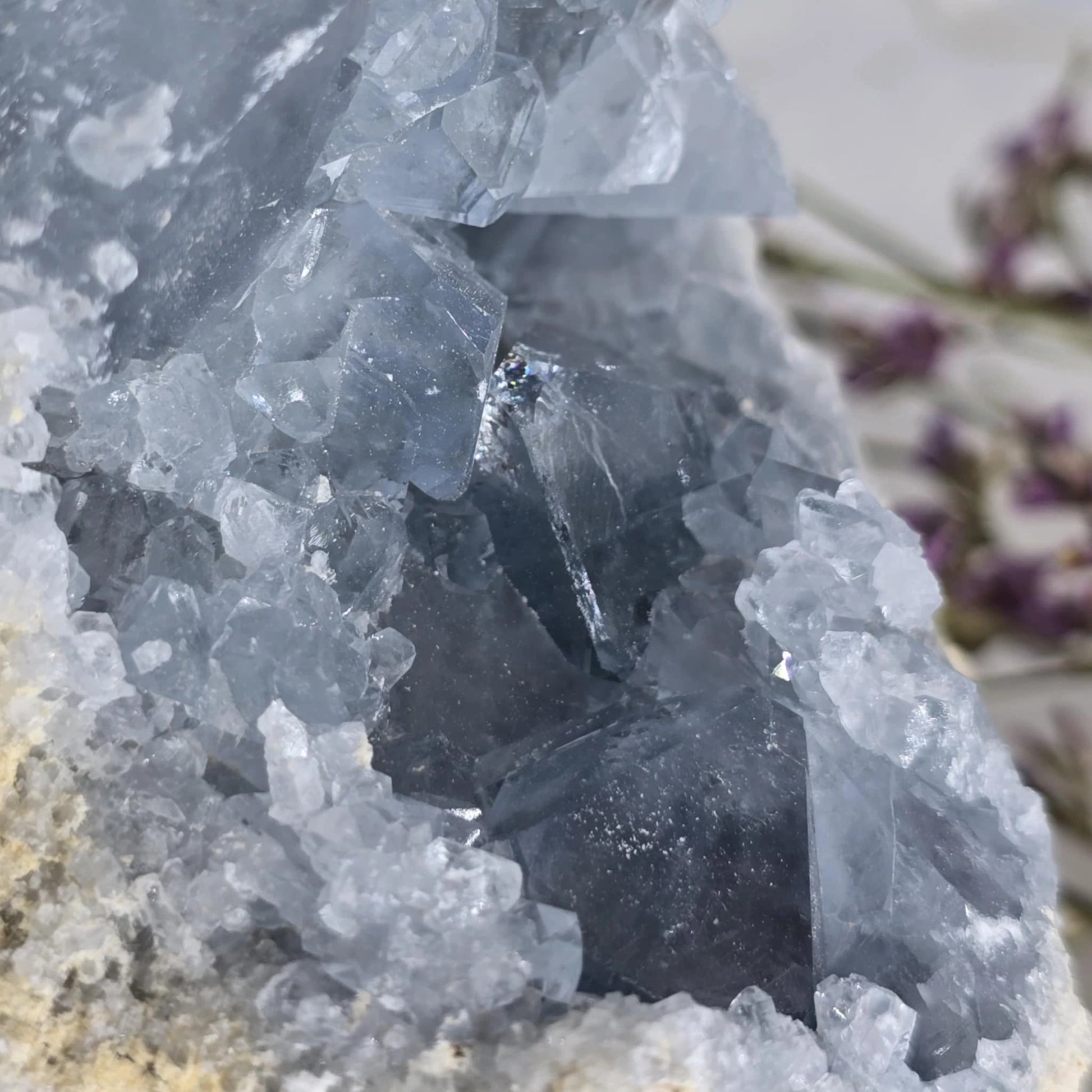 Celestin Mineral Trgovina S Kristali 