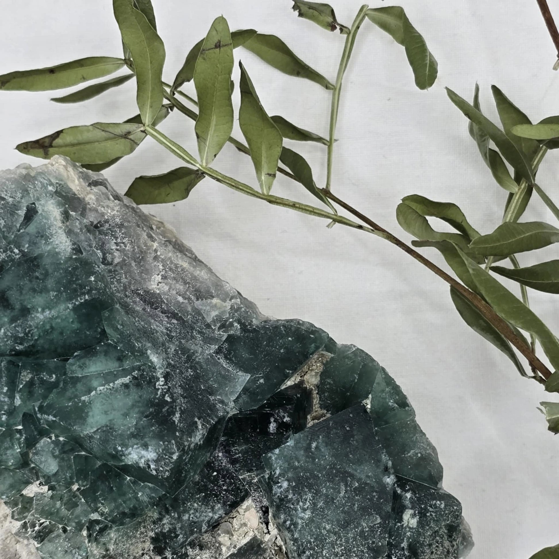 Zeleno Modri Kockasti Fluorit Trgovina S Kristali Adorable Stones