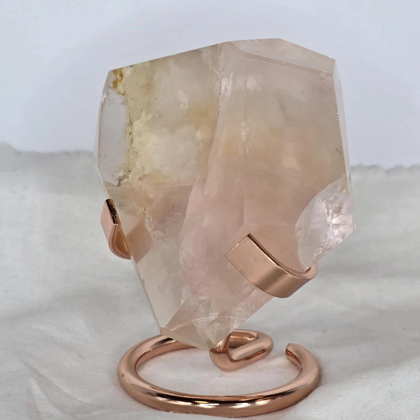 Roževec Z Zlatim Zdravilcem - Freeform Na Stojalu