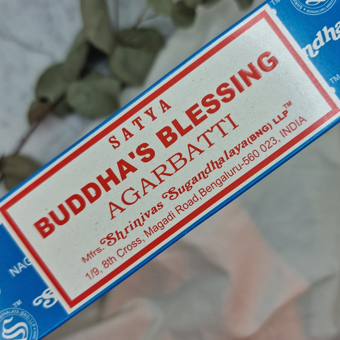 Buddha's Blessing Satya - Kadila