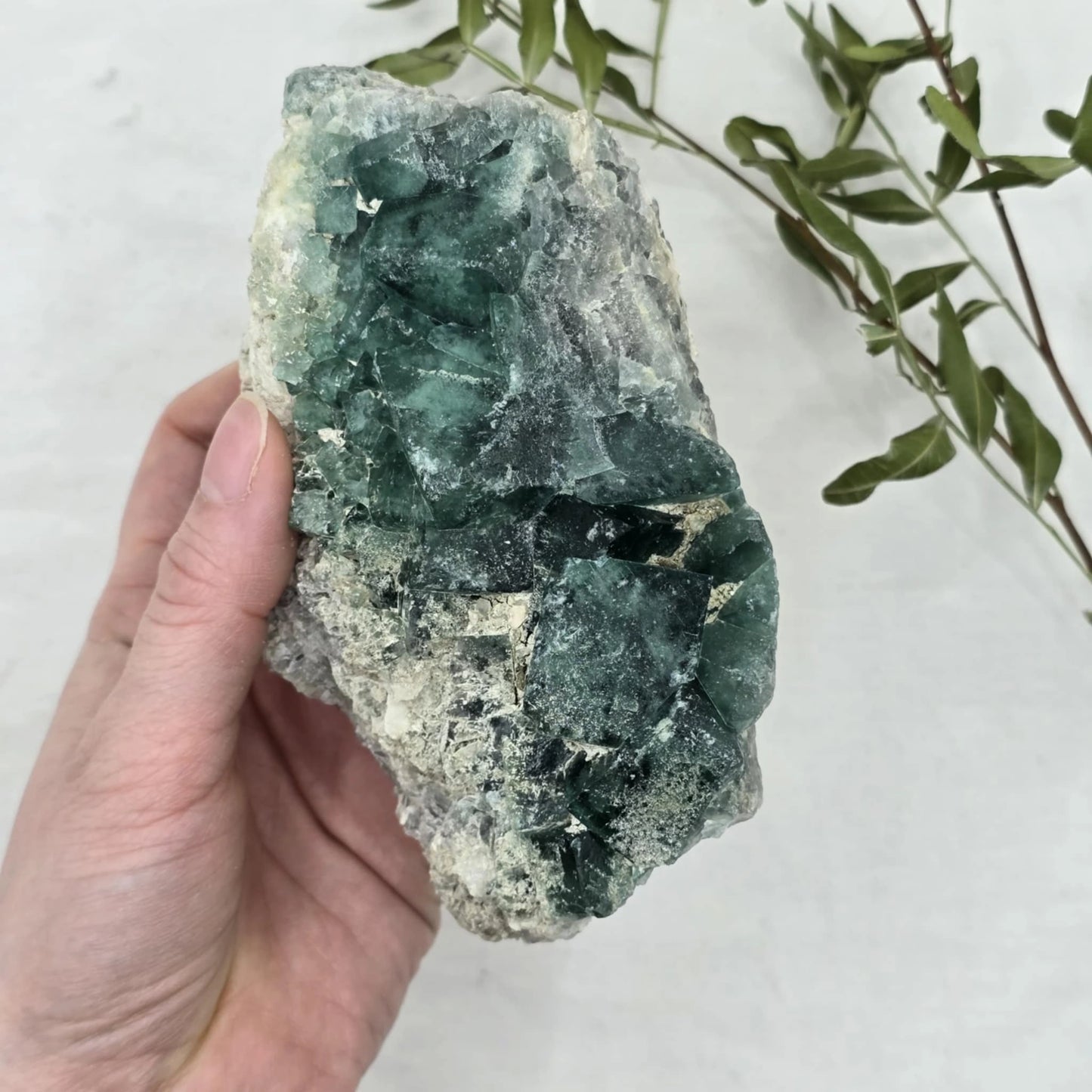 Zeleno Modri Kockasti Fluorit Trgovina S Kristali Adorable Stones