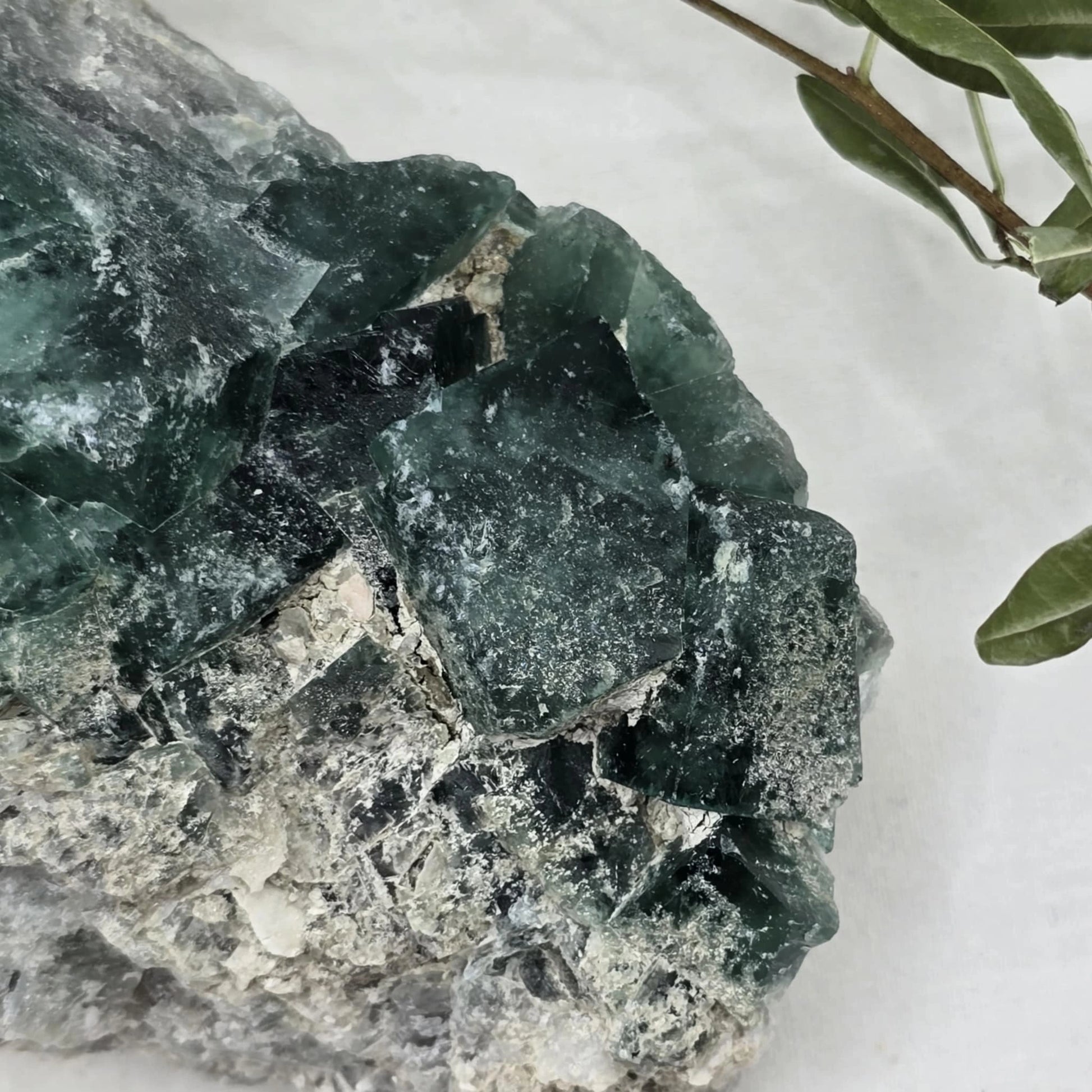 Zeleno Modri Kockasti Fluorit Trgovina S Kristali Adorable Stones