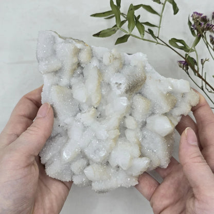 Kalcedon Kremen - Rastišče Veliko