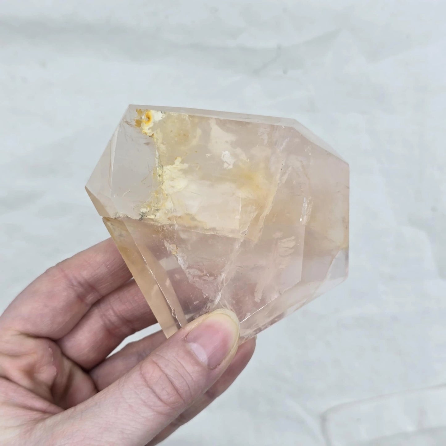 Roževec Z Zlatim Zdravilcem - Freeform Na Stojalu