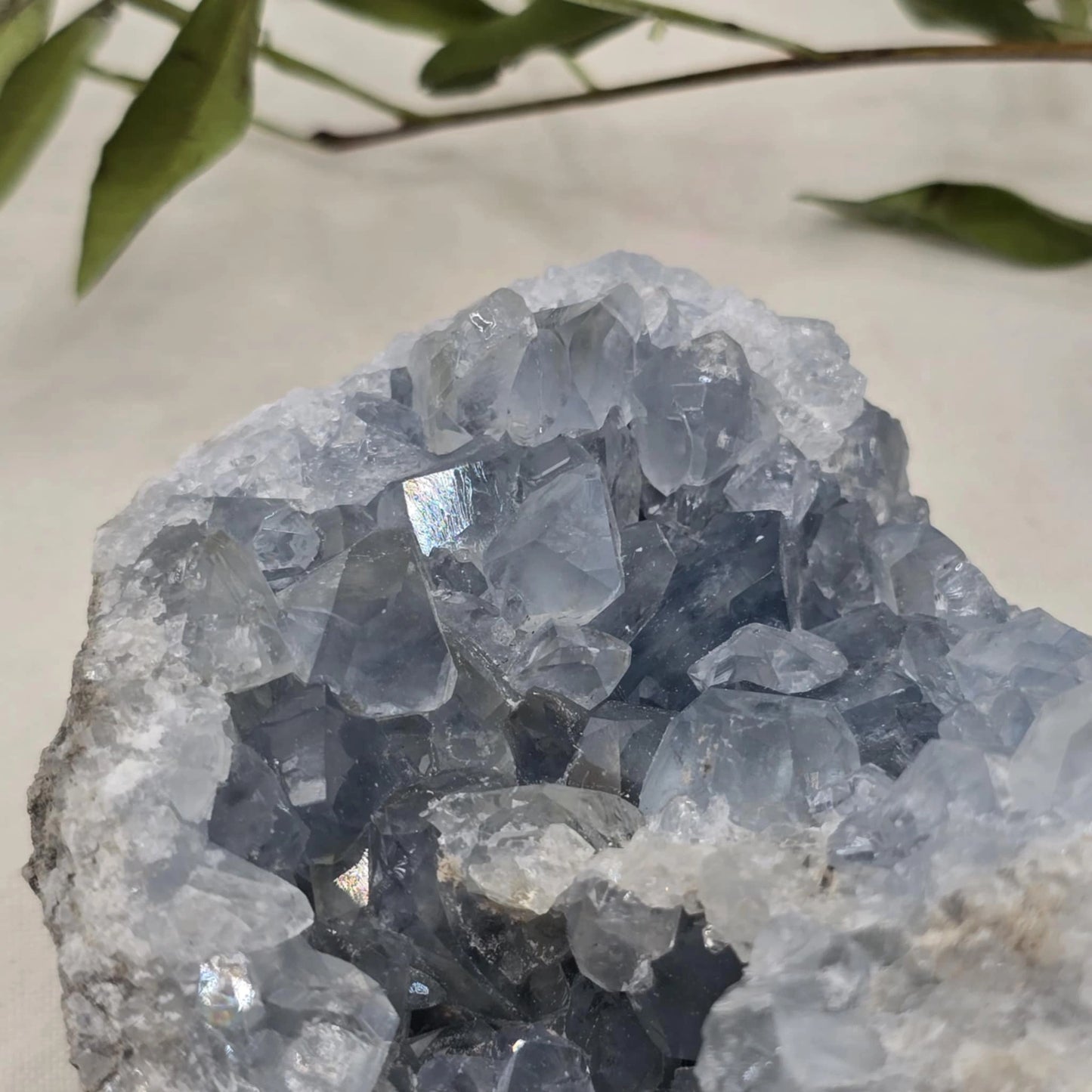 Celestin Mineral Trgovina S Kristali Adorable Stones