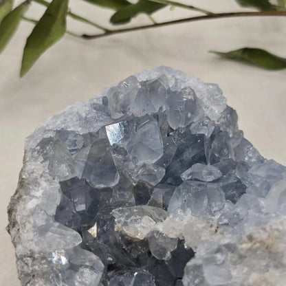 Celestin Mineral Trgovina S Kristali Adorable Stones