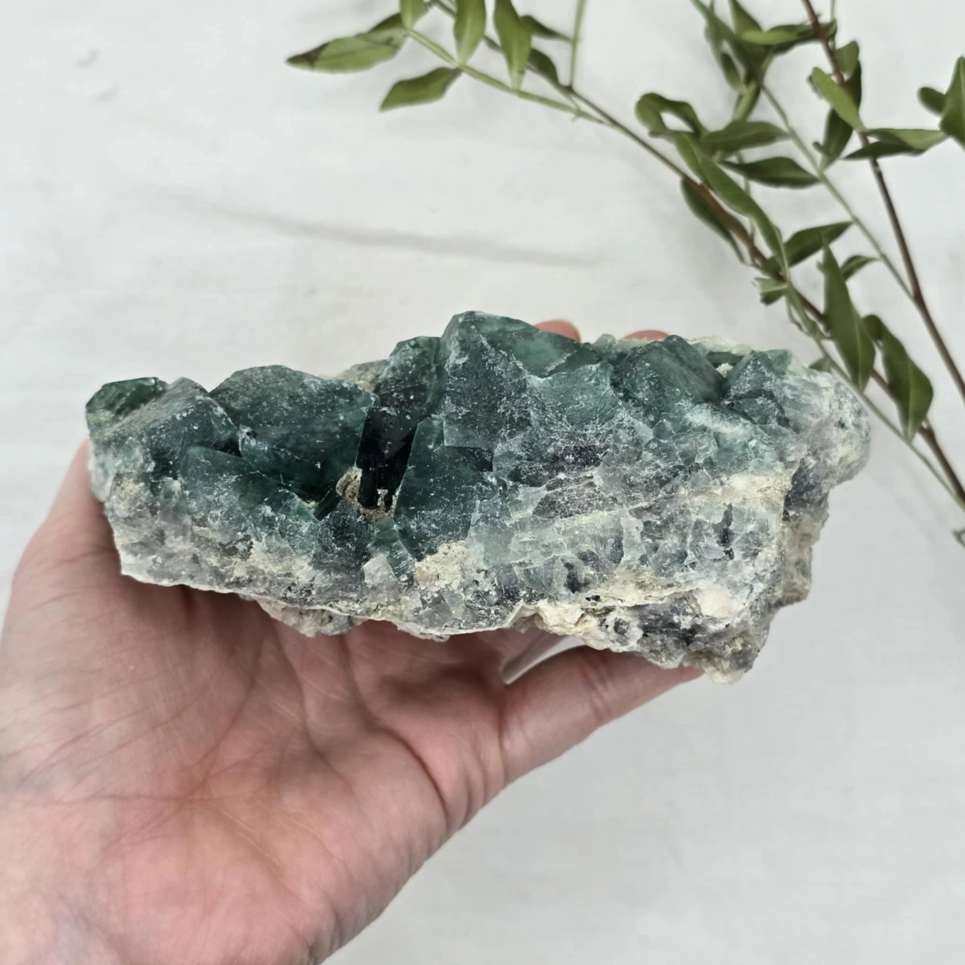 Zeleno Modri Kockasti Fluorit Trgovina S Kristali Adorable Stones