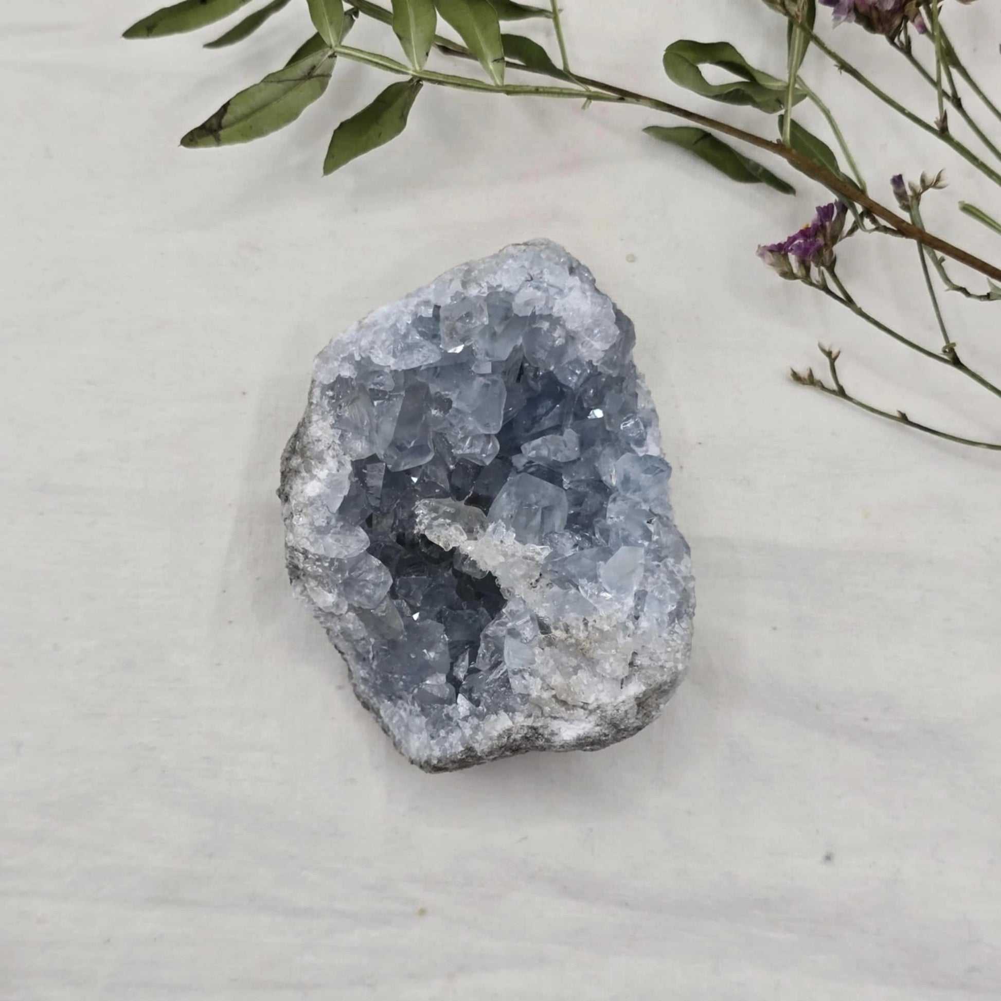 Celestin Mineral Trgovina S Kristali Adorable Stones