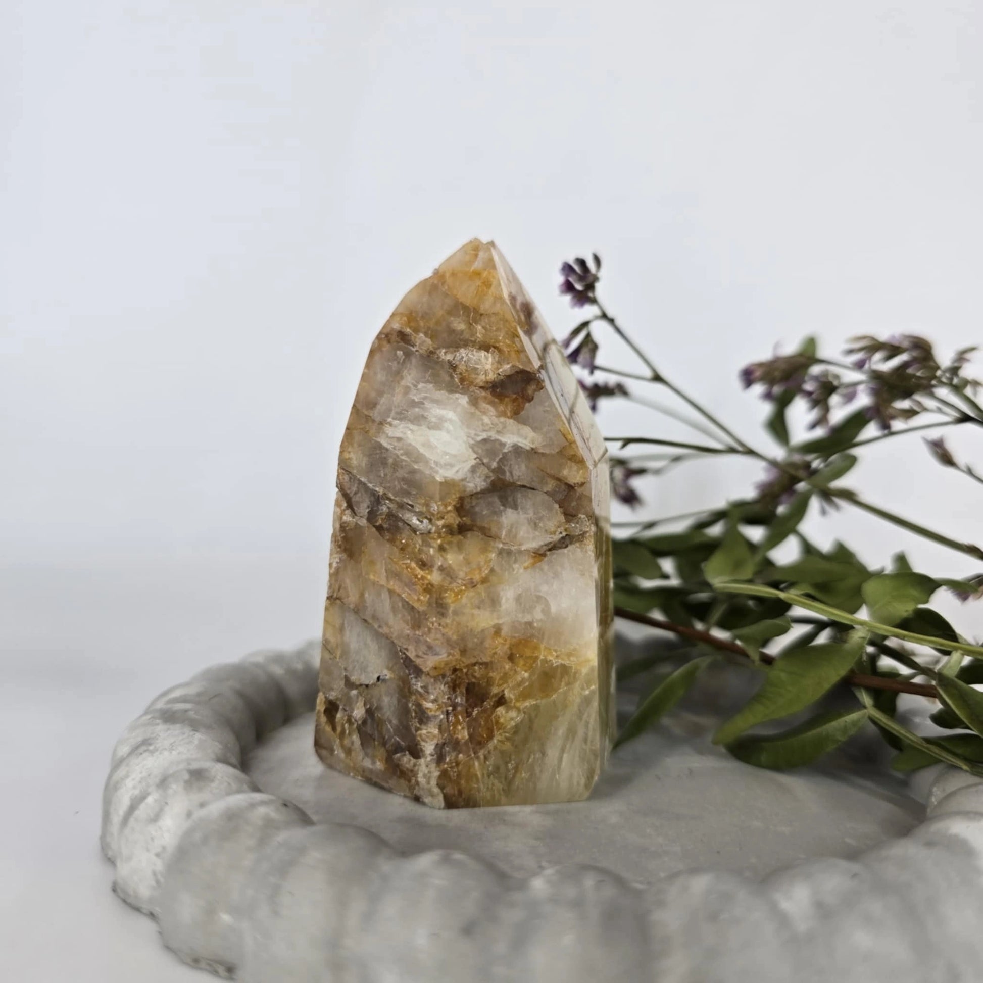 Nakup zlatega zdravilca