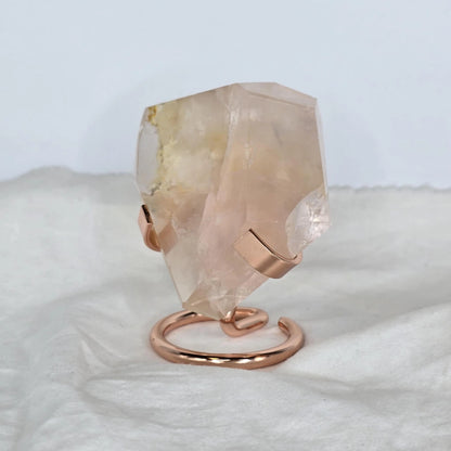 Roževec Z Zlatim Zdravilcem - Freeform Na Stojalu