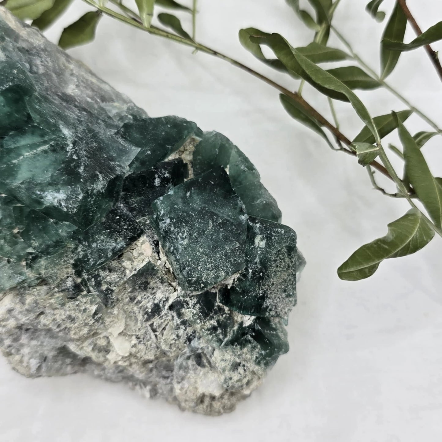 Zeleno Modri Kockasti Fluorit Trgovina S Kristali Adorable Stones