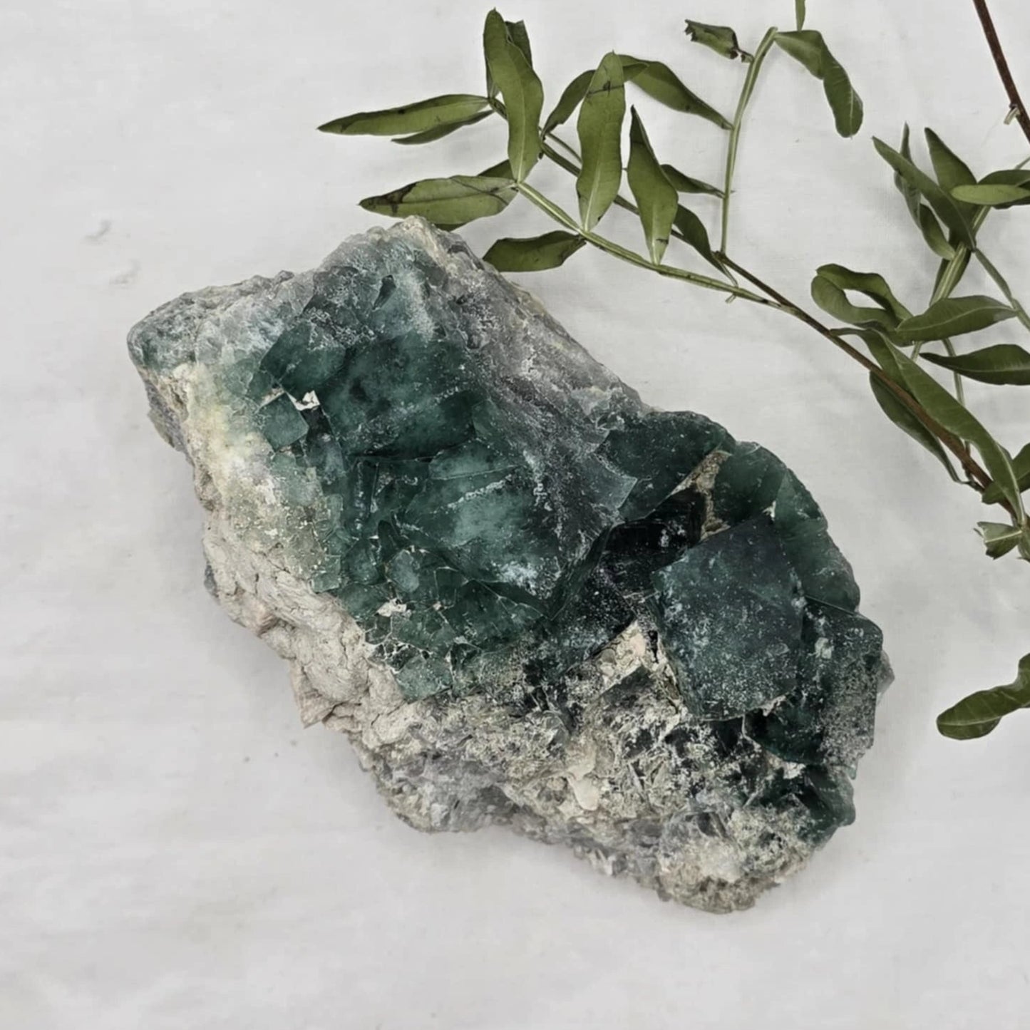 Zeleno Modri Kockasti Fluorit Trgovina S Kristali Adorable Stones