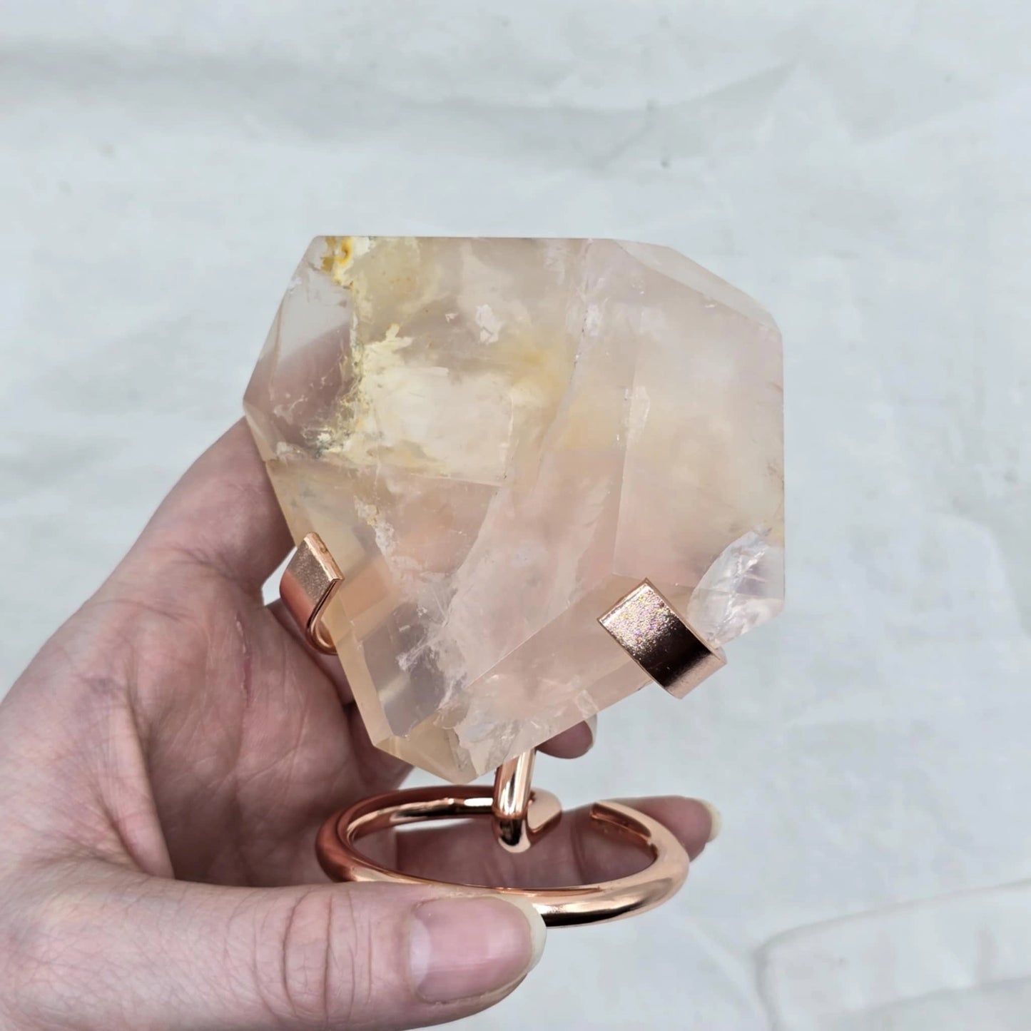 Roževec Z Zlatim Zdravilcem - Freeform Na Stojalu