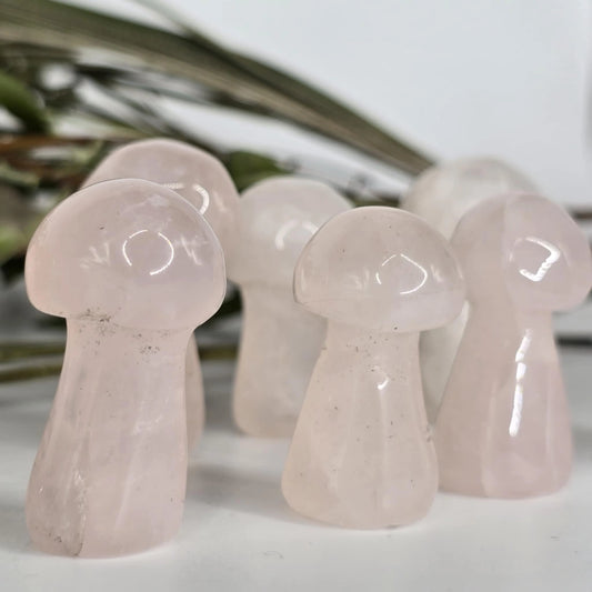 Roževec - Mala Goba