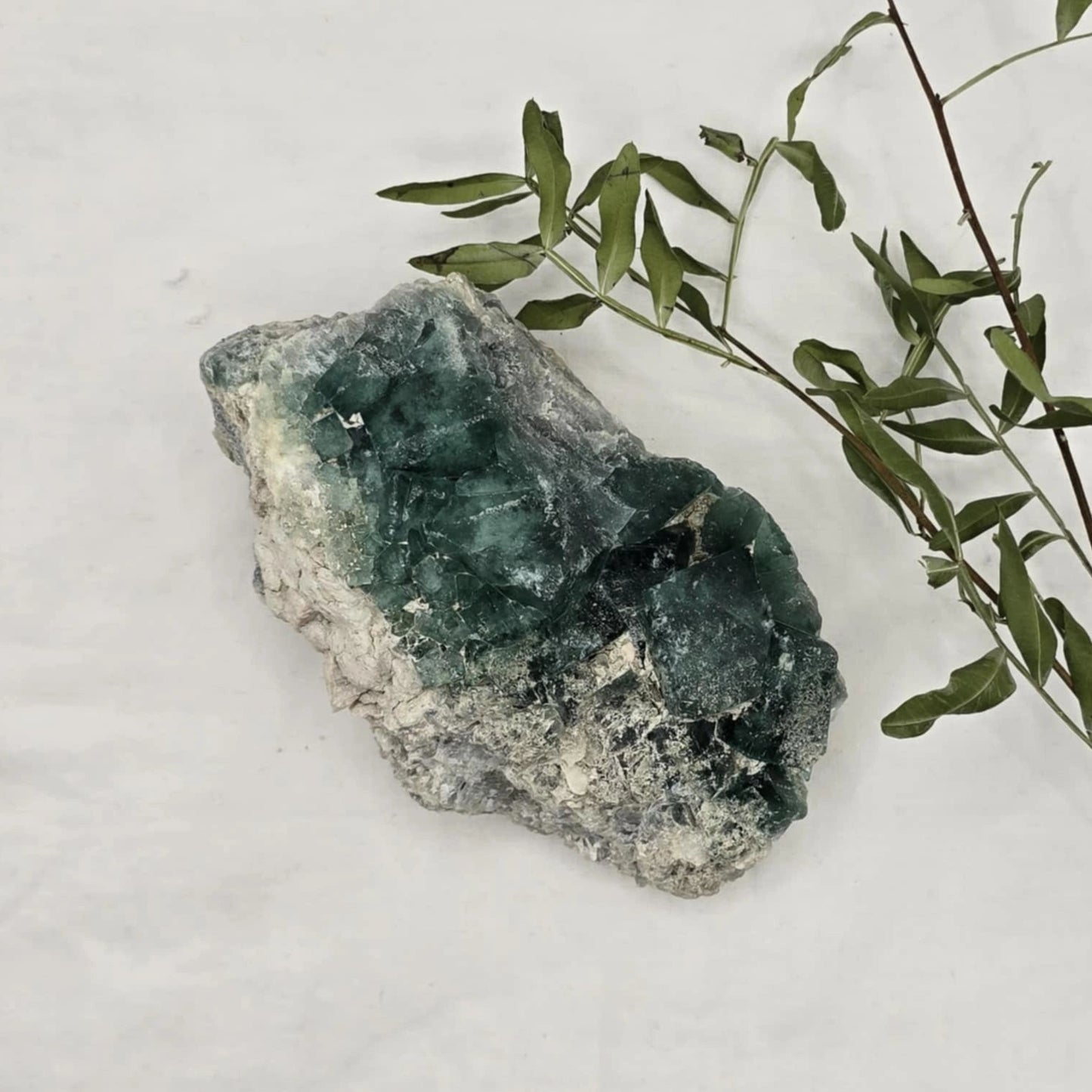 Zeleno Modri Kockasti Fluorit Trgovina S Kristali Adorable Stones