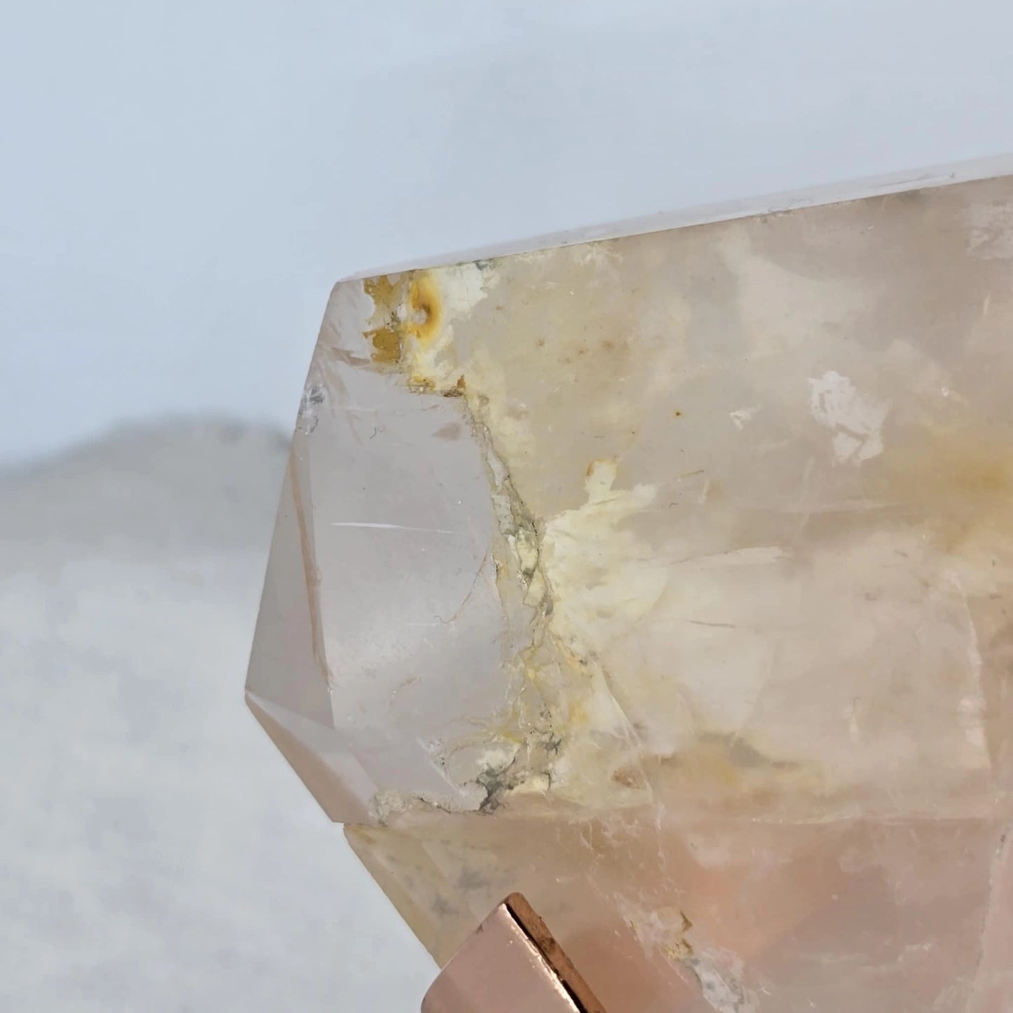 Roževec Z Zlatim Zdravilcem - Freeform Na Stojalu