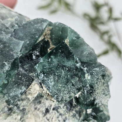 Zeleno Modri Kockasti Fluorit Trgovina S Kristali Adorable Stones