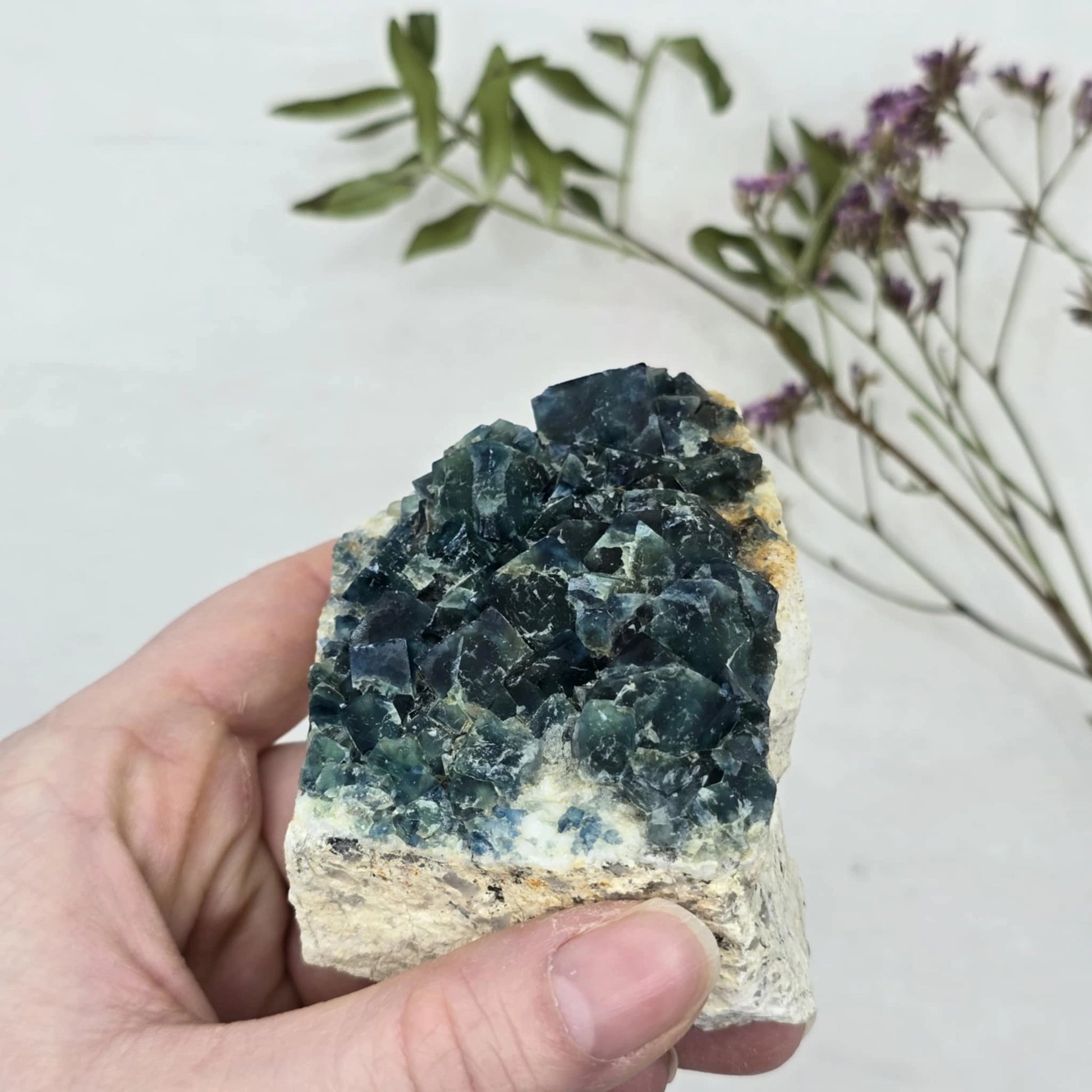 Zeleno Modri Kockasti Fluorit Trgovina S Kristali Adorable Stones