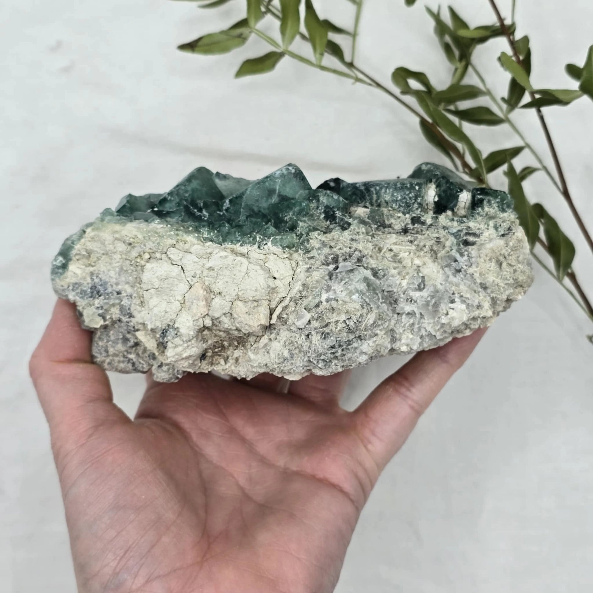 Zeleno Modri Kockasti Fluorit Trgovina S Kristali Adorable Stones