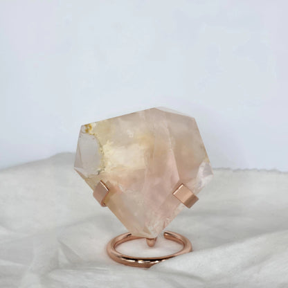 Roževec Z Zlatim Zdravilcem - Freeform Na Stojalu