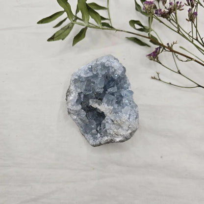 Celestin Mineral Trgovina S Kristali Adorable Stones