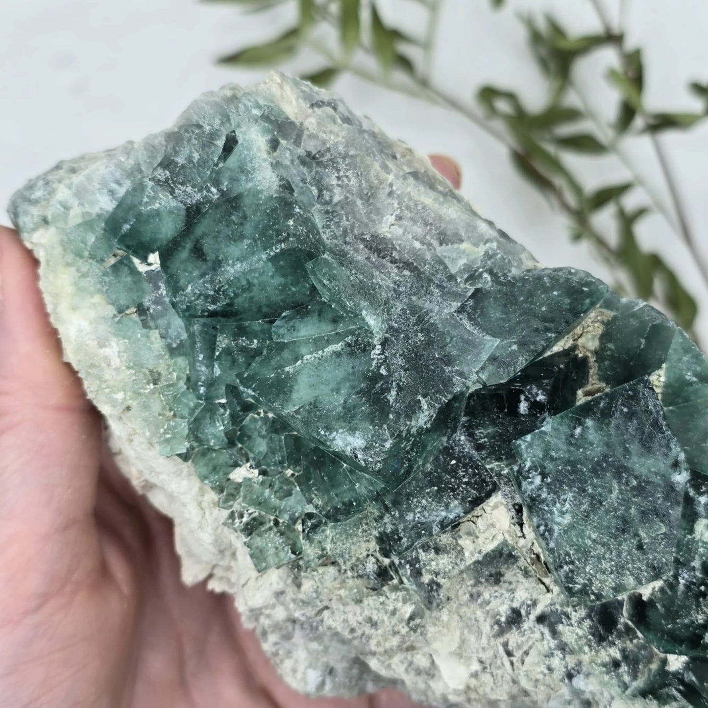 Zeleno Modri Kockasti Fluorit Trgovina S Kristali Adorable Stones