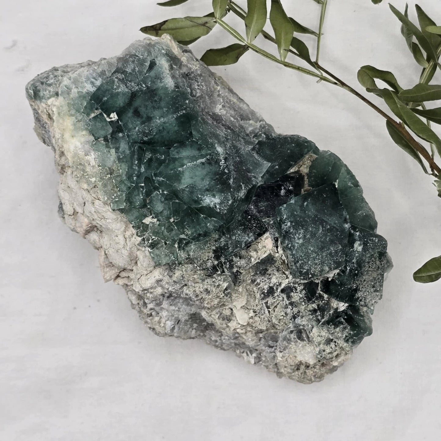 Zeleno Modri Kockasti Fluorit Trgovina S Kristali Adorable Stones